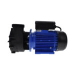 Bomba de masaje LP300 - 3HP 60mm - 2'' - Image 2
