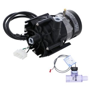 Bomba de filtración Laing E10 - Conexión macho de 3/4" - 1/40 HP con toma AMP + presostato 01710-130